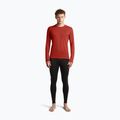 Herren Funktionsshirt langärmlig Icebreaker 260 Tech Crewe Agate 4