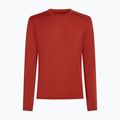 Herren Funktionsshirt langärmlig Icebreaker 260 Tech Crewe Agate 6