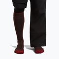 Herren-Skisocken icebreaker Merino Ski+ Medium OTC bittersweet/port/black 3