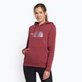 Damen-Trekking-Sweatshirt The North Face Drew Peak Pullover Hoodie wild ginger NF0A55EC6R41