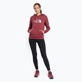 Damen-Trekking-Sweatshirt The North Face Drew Peak Pullover Hoodie wild ginger NF0A55EC6R41 2