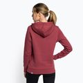Damen-Trekking-Sweatshirt The North Face Drew Peak Pullover Hoodie wild ginger NF0A55EC6R41 4