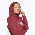 Damen-Trekking-Sweatshirt The North Face Drew Peak Pullover Hoodie wild ginger NF0A55EC6R41 5