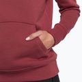 Damen-Trekking-Sweatshirt The North Face Drew Peak Pullover Hoodie wild ginger NF0A55EC6R41 7