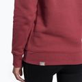 Damen-Trekking-Sweatshirt The North Face Drew Peak Pullover Hoodie wild ginger NF0A55EC6R41 8
