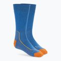 Icebreaker Herren-Trekkingsocken Hike+ Medium Crew lazurite/solar/earth
