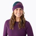 Smartwool Thermal Merino Colorblock Wintermütze twilight blue heather 5