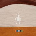 Smartwool Thermal Merino Colorblock Wintermütze Marmelade Heidekraut 3