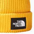 The North Face Salty Gipfel Gold Kappe 2