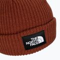 The North Face Salty brandy braun Kappe 4