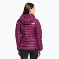 Damen Winterjacke The North Face Summit Breithorn Hoodie Boysenberry 2
