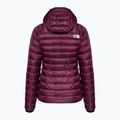 Damen Winterjacke The North Face Summit Breithorn Hoodie Boysenberry 6