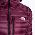 Damen Winterjacke The North Face Summit Breithorn Hoodie Boysenberry 7