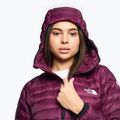 Damen Winterjacke The North Face Summit Breithorn Hoodie Boysenberry 3