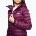 Damen Winterjacke The North Face Summit Breithorn Hoodie Boysenberry 4