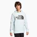 Herren-Trekking-Sweatshirt The North Face Tekno Logo Hoodie icecap blau