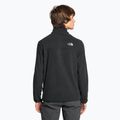 Herren Fleece-Sweatshirt The North Face Homesafe Snap Neck Fleece Pullover schwarz 2