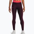 Under Armour Branded WB Damen-Leggings dunkelbraun/beta