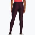 Under Armour Branded WB Damen-Leggings dunkelbraun/beta 2