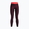 Under Armour Branded WB Damen-Leggings dunkelbraun/beta 4