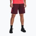 Under Armour Tech Graphic Herren-Trainingsshorts dunkelbraun/beta