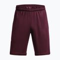 Under Armour Tech Graphic Herren-Trainingsshorts dunkelbraun/beta 5