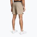 Herren Trainingsshorts Under Armour UA Vanish Woven 6in timberwolf taupe/schwarz 3