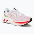 Under Armour Infinite Elite Damen Laufschuhe weiß/schwarz/metallic gold