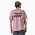 Patagonia '73 Skyline Organic stürmisches lila Herren-T-Shirt 3