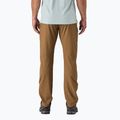 Herren Patagonia Terravia Trail Regular korianderbraune Trekkinghose 2