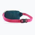 Patagonia Terravia Mini Hip Butterblume gelb Nierentasche 2