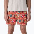 Patagonia Männer Shorts Baggies 5" wrasse/Bestäuber orange