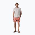 Patagonia Männer Shorts Baggies 5" wrasse/Bestäuber orange 2