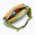 Cotopaxi Allpa X Hip Pack 1,5 l Zitronengras/Zedernholz Nierenbeutel 6