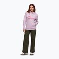 Cotopaxi Do Good Pullover Hoodie Damen antik 2
