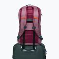 City-Rucksack Cotopaxi Allpa Daypack 26 l fig 6