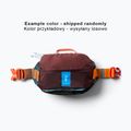 Bauchtasche Cotopaxi Allpa X Hip Pack 1,5 l vapor and smoke