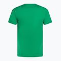 Tennis Shirt Herren Nike Court Dri-Fit Heritage stadium green 2
