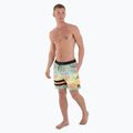 Hurley Phantom Eco Block Party Volley 17" Ananas Badeshorts für Männer 2