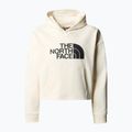 Kinder Sweatshirt The North Face Drew Peak Light Hoodie weiß dune