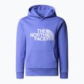 Kinder Hoodie Sweatshirt The North Face Drew Peak Light Hoodie dopamine blue