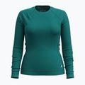 Damen-Thermoaktivshirt Smartwool Merino 250 Baselayer Crew Boxed emerald green 3