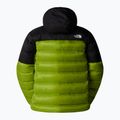 Daunenjacke Herren The North Face Kalix Down Hoodie meadow grass/black 6