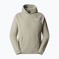 Herren Sweatshirt The North Face 100 Glacier Hoodie Ton grau 4