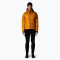 Damen Daunenjacke The North Face Terra Peak Hoodie Aprikose Glasur / Eisen Zitrus 2