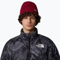 Herren-Trekkingmütze The North Face Norm Beanie Rote Bete 3