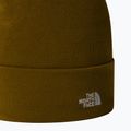 Herren-Trekkingmütze The North Face Norm Beanie moosgrün 2