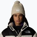 Herren Wintermütze The North Face Cozy Chunky Cabin gardenia weiß/kies 3