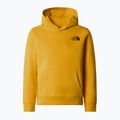 Kinder Sweatshirt The North Face Teen Redbox Regular P/O Gipfel Gold 3