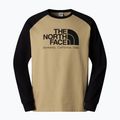 Herren The North Face Heritage khaki Stein/schwarz Longsleeve